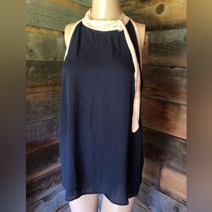 Sleeveless blue top